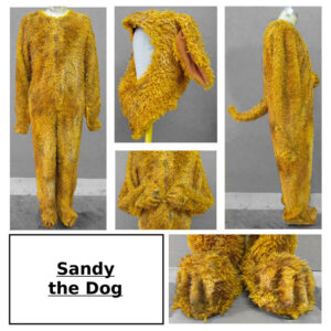 Sandy Costume
