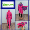 Dragon Costume