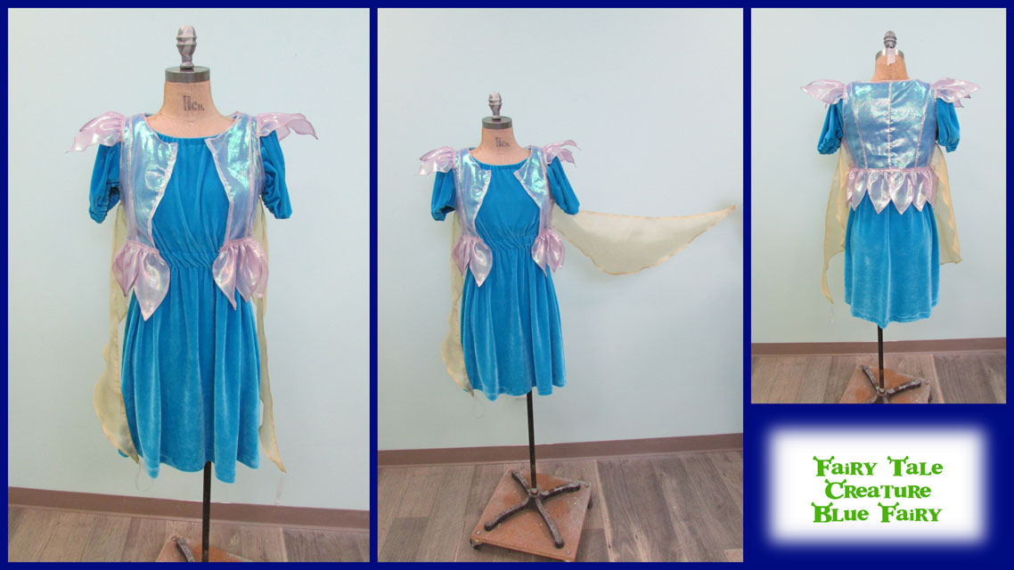 Blue Fairy Costume - wide 10