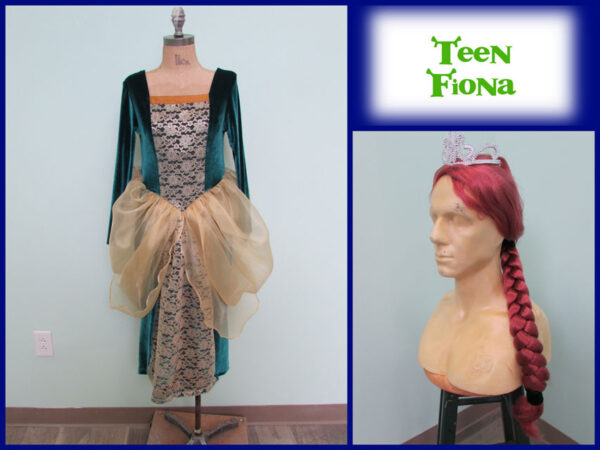 Teen Fiona Costumes